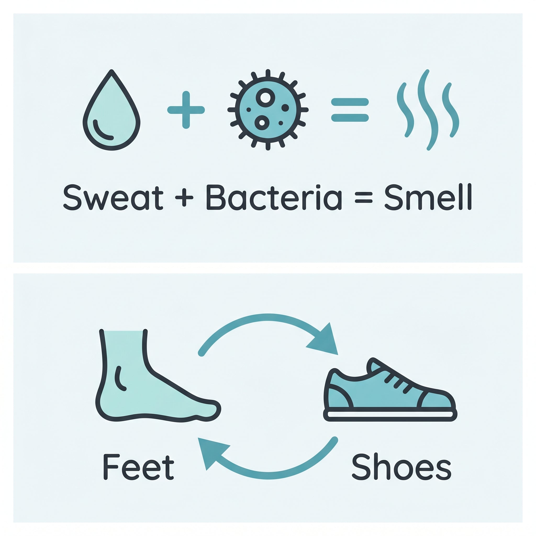 Feet and shoes pass odor bacteria back and forth in a loop